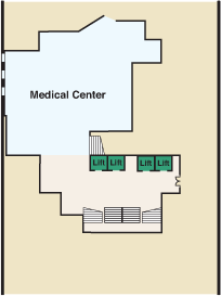 Gala